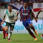 Soi kèo, dự đoán Bahia vs Palmeiras, 04h00 ngày 21/11 – VĐQG Brazil